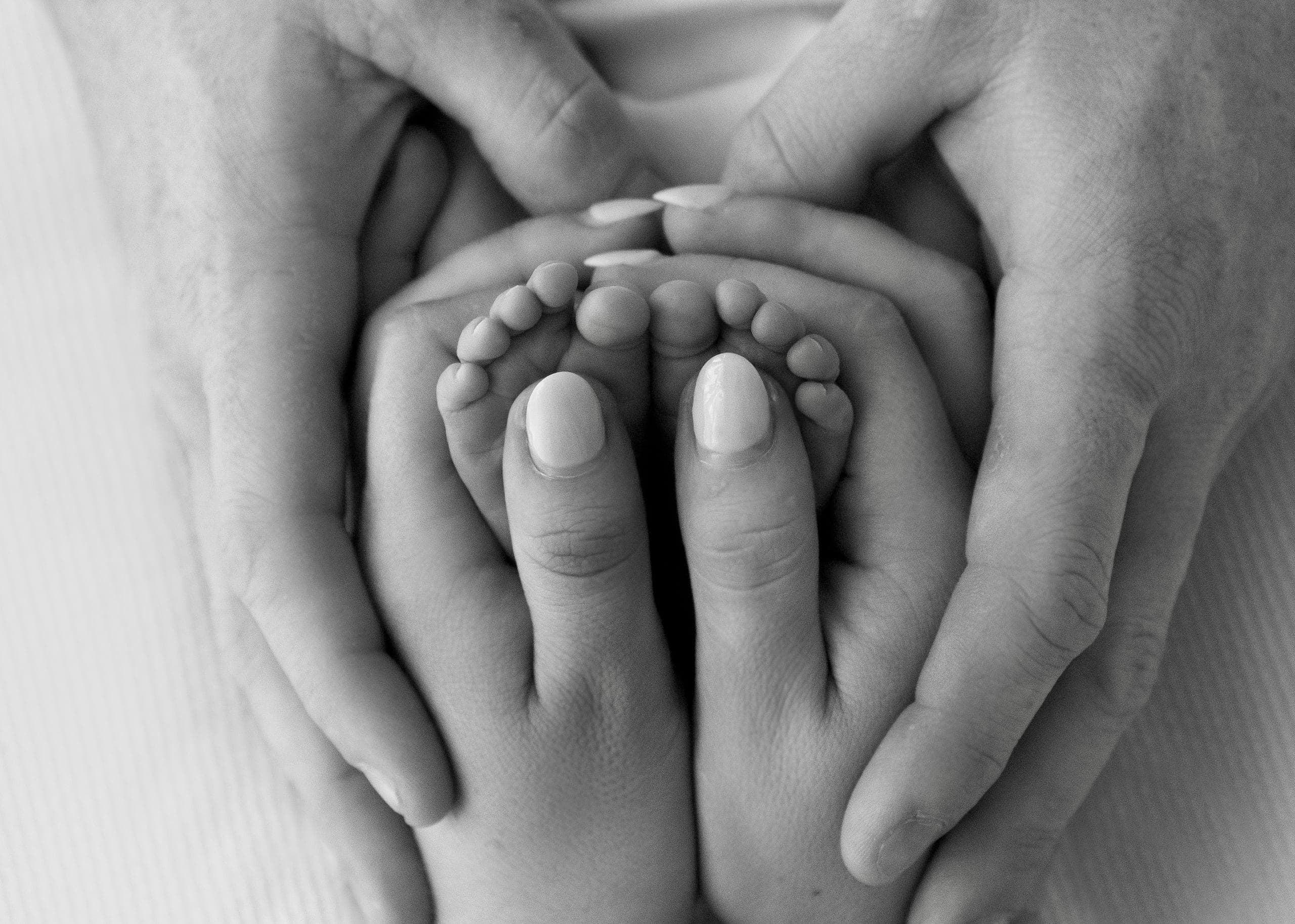 Newborn portrait by LJ Photography
