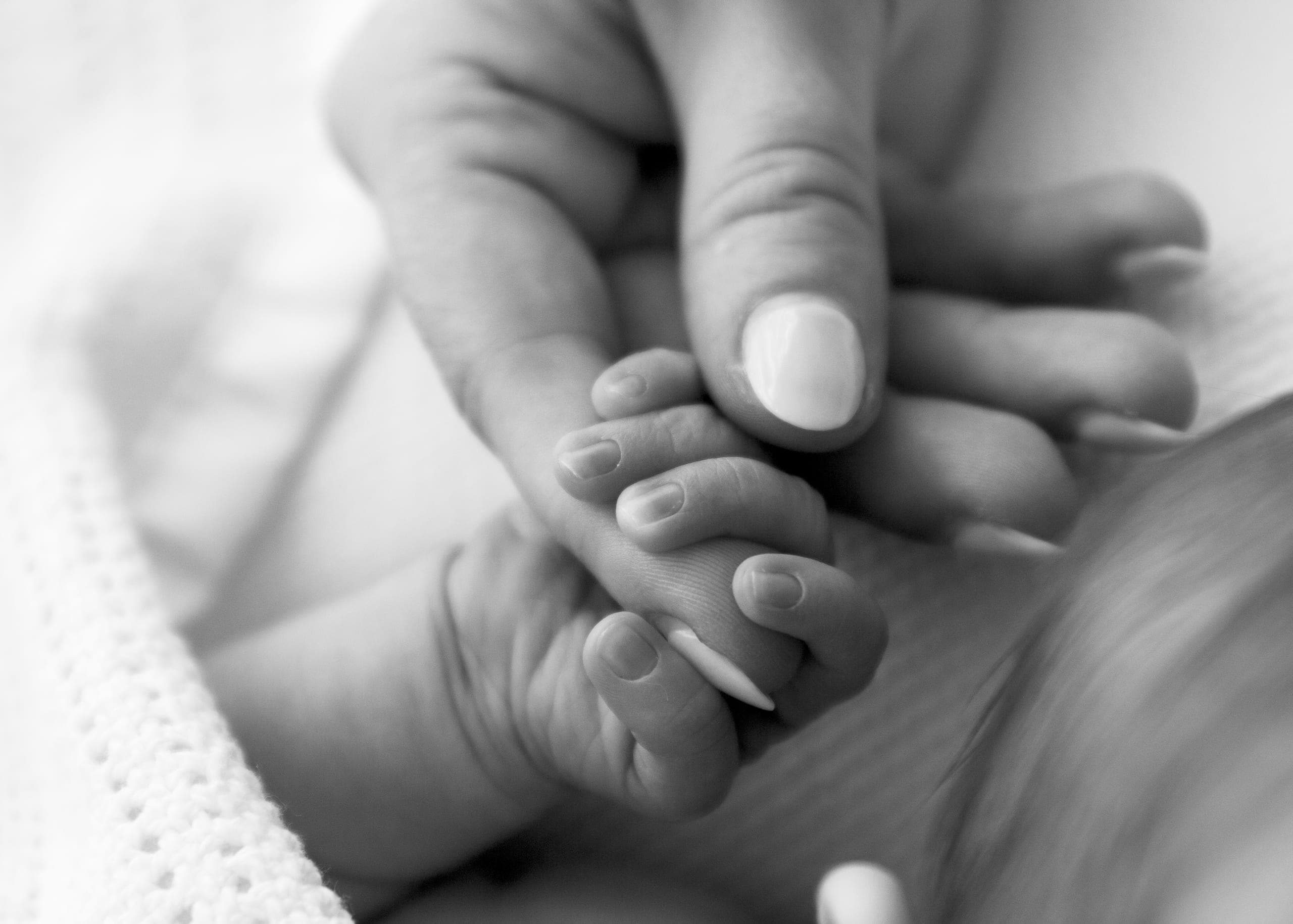 Newborn portrait by LJ Photography